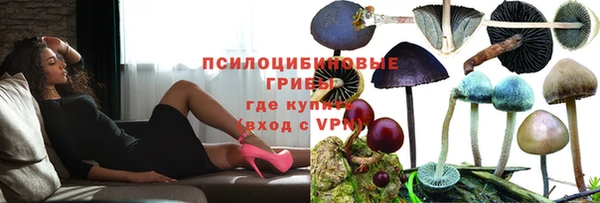 прущие грибы Сосновка