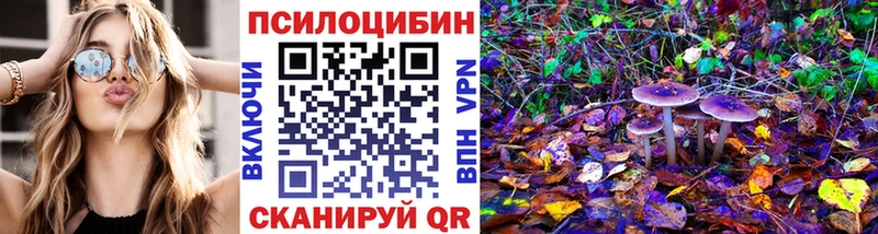 продажа наркотиков  Новоалександровск  shop как зайти  Галлюциногенные грибы мухоморы 